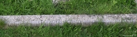 Corston - photo: 00068