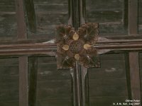Chilton Foliat - photo: 277