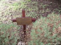 Crudwell - photo: 0507