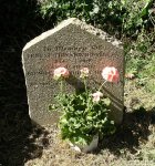 Donhead St. Andrew - photo: 0010