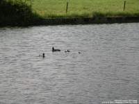 Draycot Cerne - photo: 0255