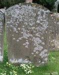 Dauntsey - photo: 0192