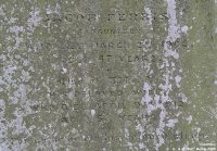 Dauntsey - photo: 0214