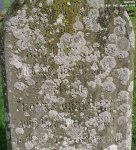 Dauntsey - photo: 0218