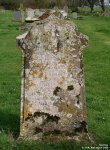 Dauntsey - photo: 0219