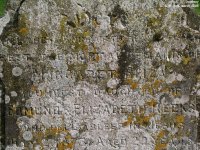Dauntsey - photo: 0220