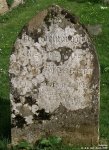 Dauntsey - photo: 0222