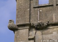 Dauntsey - photo: 0373