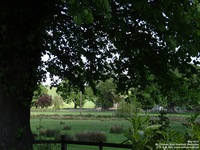 East Shefford - photo: 00327