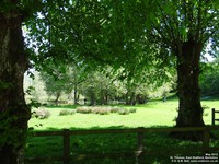 East Shefford - photo: 00328