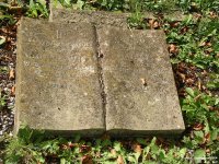 Fovant - photo: 0043