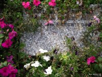 Fovant - photo: 0201