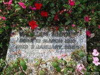 Fovant - photo: 0202