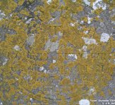 Fovant - photo: 0236