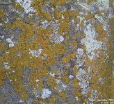 Fovant - photo: 0237