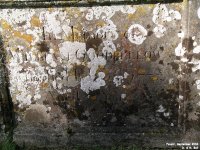 Fovant - photo: 0260