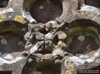 Fovant - photo: 0363