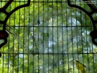 Fovant - photo: 0409