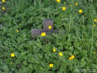 Fovant - photo: 0480