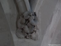 Fovant - photo: 0668