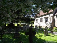 Fovant - photo: 0788