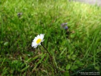 Fovant - photo: 0815