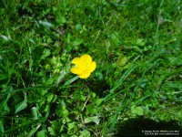 Fovant - photo: 0816