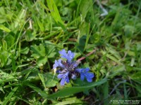 Fovant - photo: 0819