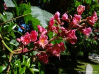 Fovant - photo: 0822