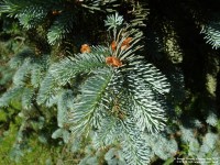 Fovant - photo: 0823