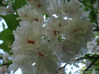 Fovant - photo: 0825