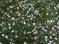 Fovant - photo: 0826