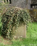 Froxfield - photo: 0033