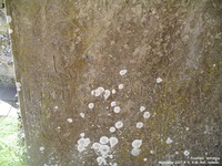Froxfield - photo: 0120