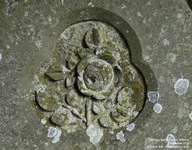 Grittleton - photo: 00004