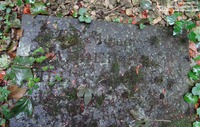 Grittleton - photo: 00021