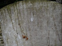 Grittleton - photo: 00066
