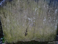 Grittleton - photo: 00080