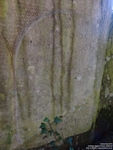 Grittleton - photo: 00088