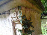 Grittleton - photo: 00099