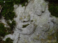 Grittleton - photo: 00134