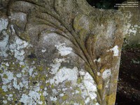 Grittleton - photo: 00138