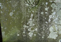 Grittleton - photo: 00146