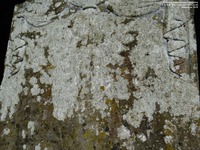 Grittleton - photo: 00150