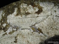 Grittleton - photo: 00151