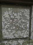 Garsdon - photo: 00026