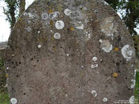 Garsdon - photo: 00032