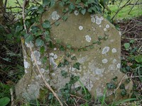 Garsdon - photo: 00037