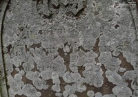 Garsdon - photo: 00045