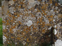 Garsdon - photo: 00060